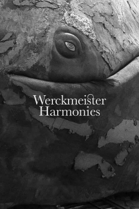 donde ver armonías de werckmeister