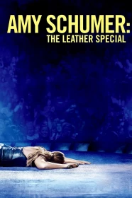 donde ver amy schumer: the leather special