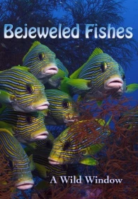 donde ver bejeweled fishes