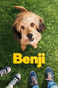 donde ver benji