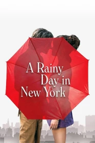 donde ver día de lluvia en nueva york