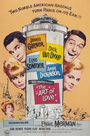 donde ver el arte de amar (1965)