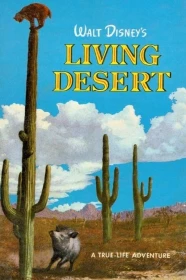 donde ver el desierto viviente