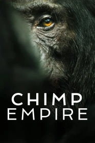 donde ver el imperio de los chimpancés