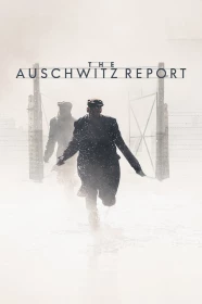 donde ver el informe auschwitz