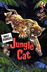 donde ver el jaguar del amazonas