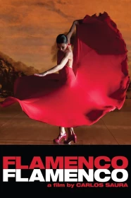 donde ver flamenco, flamenco