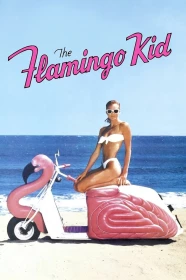 donde ver flamingo kid