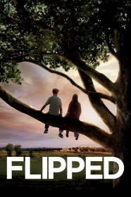 donde ver flipped (2010)