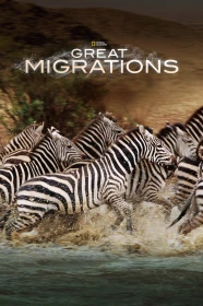 donde ver great migrations