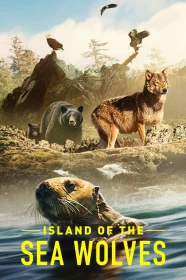 donde ver la isla de los lobos costeros