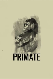 donde ver primate