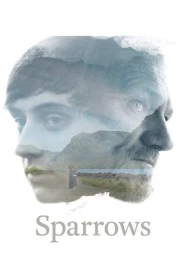 donde ver sparrows (gorriones)