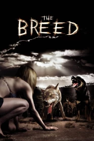 donde ver the breed