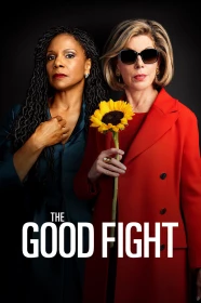 donde ver the good fight