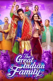 donde ver the great indian family