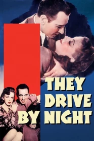 donde ver they drive by night (1940)