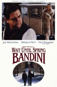 donde ver wait until spring, bandini