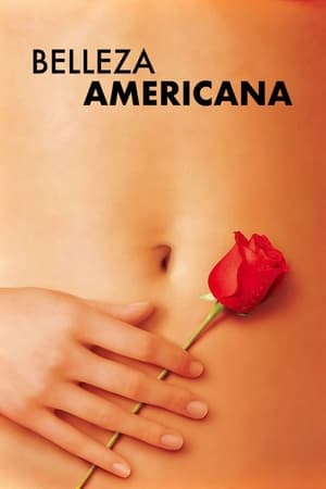 donde ver american beauty