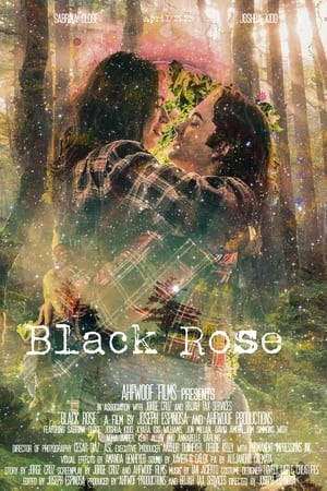 donde ver black rose