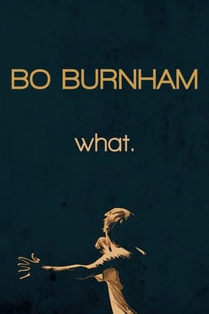 donde ver bo burnham: what.