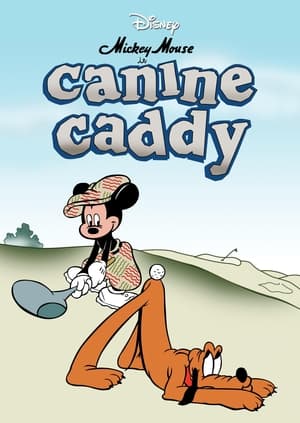 donde ver caddy canino
