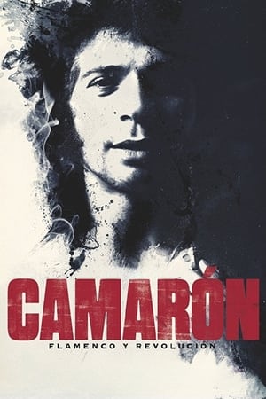 donde ver camarón: the film