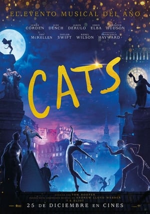 donde ver cats