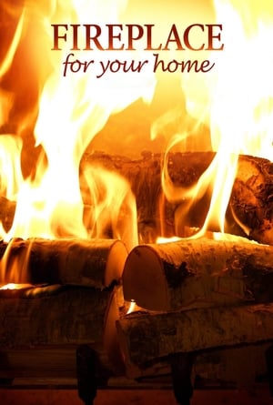 donde ver chimenea de abedul crepitante (versión en 4k) de fireplace for your home