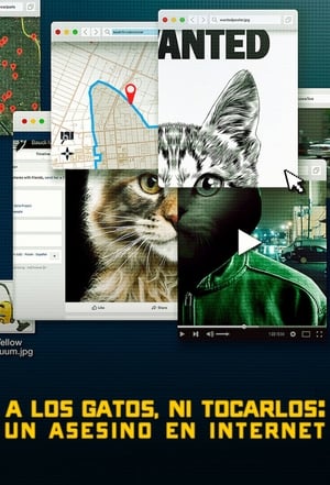 donde ver no te metas con los gatos: un asesino en internet
