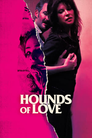 donde ver hounds of love