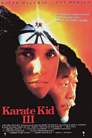 donde ver karate kid iii: el desafío final
