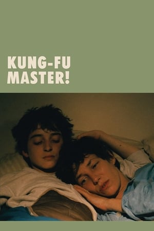donde ver kung fu master