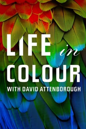 donde ver la vida a color con david attenborough