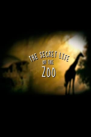 donde ver la vida secreta del zoo