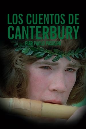 donde ver los cuentos de canterbury