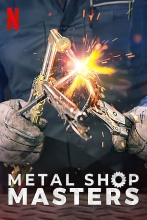 donde ver metal shop masters