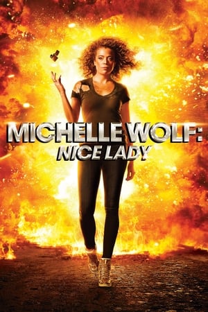 donde ver michelle wolf: nice lady