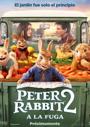 donde ver peter rabbit 2: a la fuga