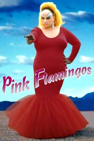 donde ver pink flamingos