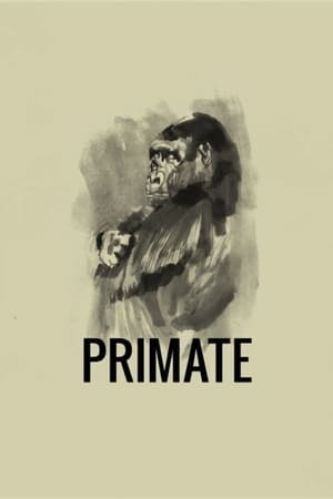 donde ver primate