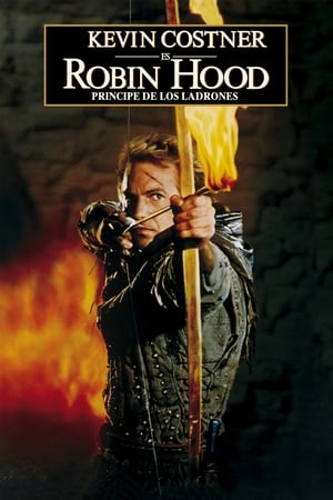 donde ver robin hood: prince of thieves