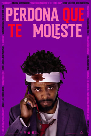 donde ver sorry to bother you