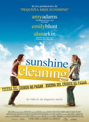 donde ver sunshine cleaning