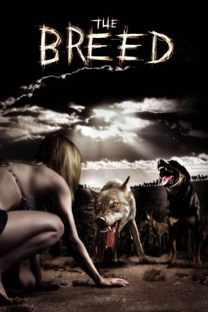 donde ver the breed