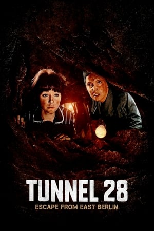 donde ver túnel 28