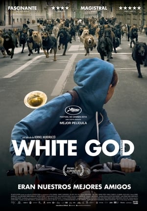 donde ver white god (dios blanco)