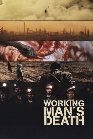 donde ver workingman's death